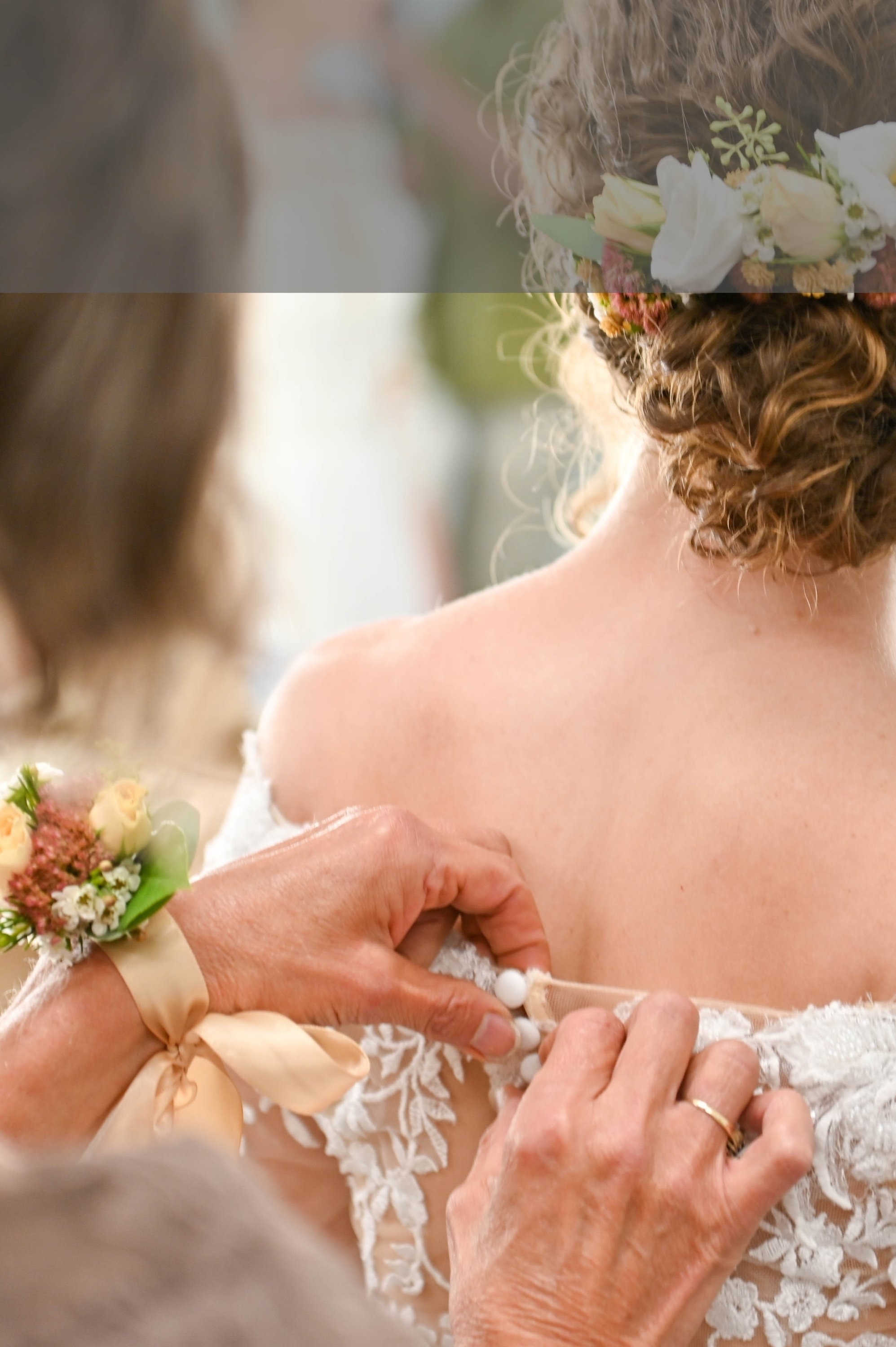 carousel-hero-element image-0